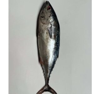 Bonito