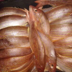 Pargo Rojo Entero